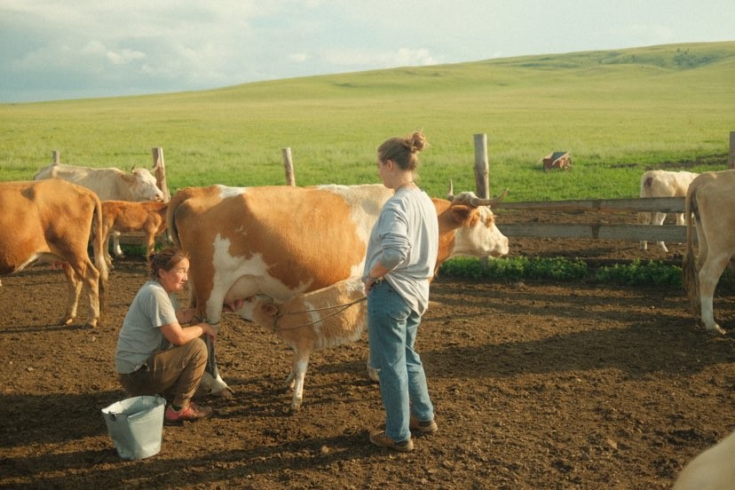 Ywamubmongolia